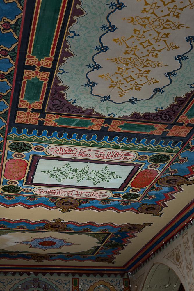 Oranie 2017-63.jpg